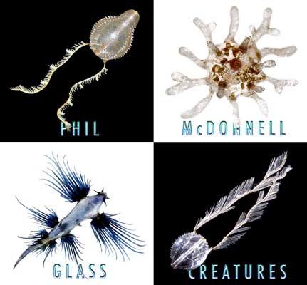 Glass Creatures album cover